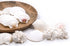 mixed white shell place card holders